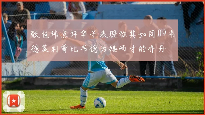张佳玮点评华子表现称其如同09韦德莱利曾比韦德为矮两寸的乔丹